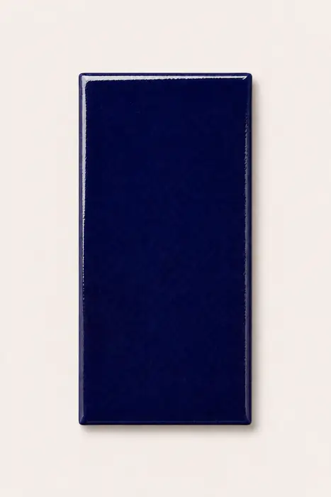 Liso Azul Cobalto 5×10